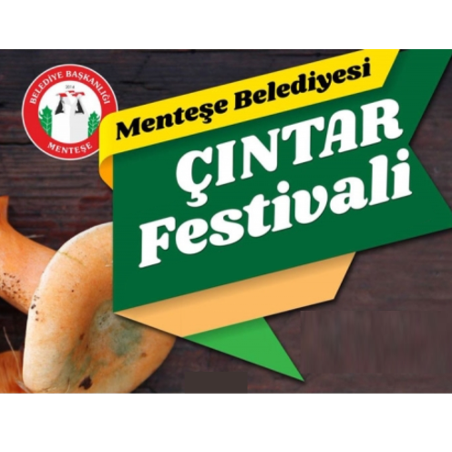 cintar-festivali