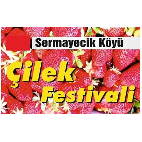 geleneksel-sermayecik-koyu-cilek-festivali