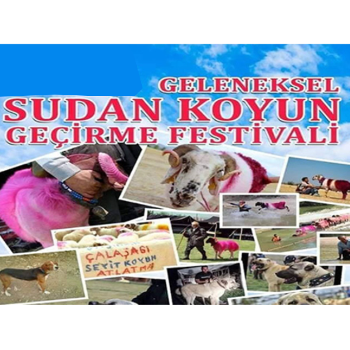 geleneksel-sudan-koyun-gecirme-ve-coban-bayrami