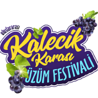 uluslararasi-kalecik-karasi-uzum-festivali