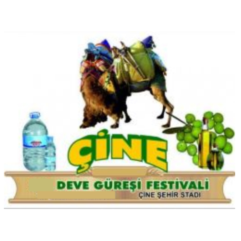 cine-deve-guresleri-festivali