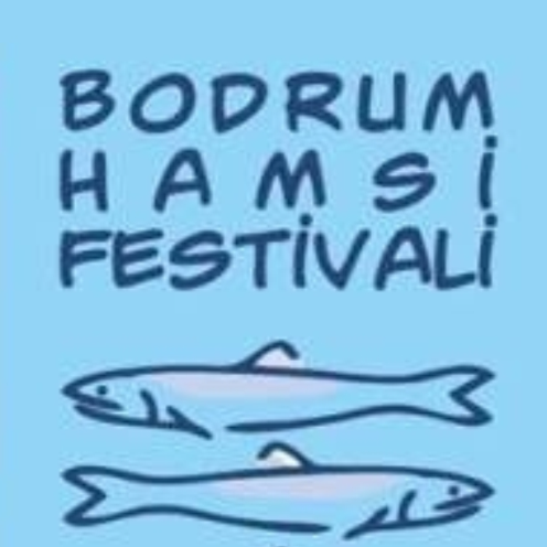 bodrum-hamsi-festivali