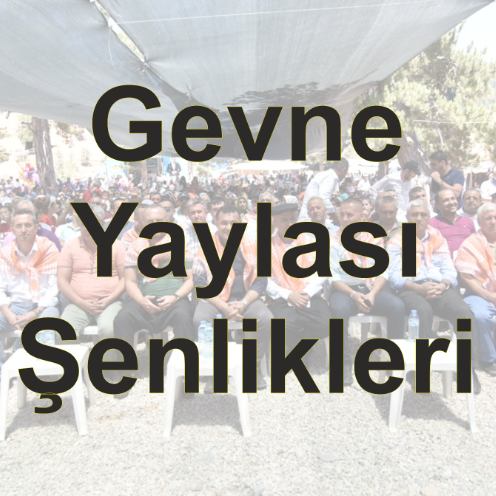 gevne-yaylasi-senlikleri