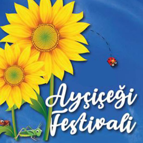 hayrabolu-aycicegi-festivali