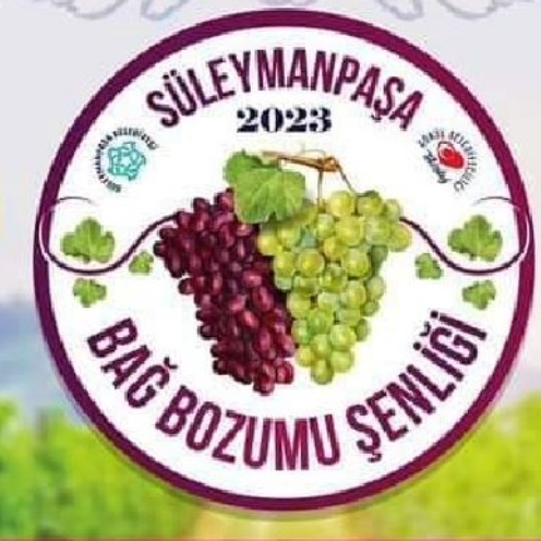 suleymanpasa-bag-bozumu-senligi