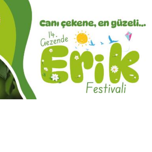 gezende-erik-festivali