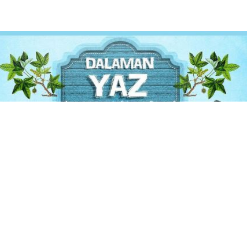 dalaman-yaz-festivali