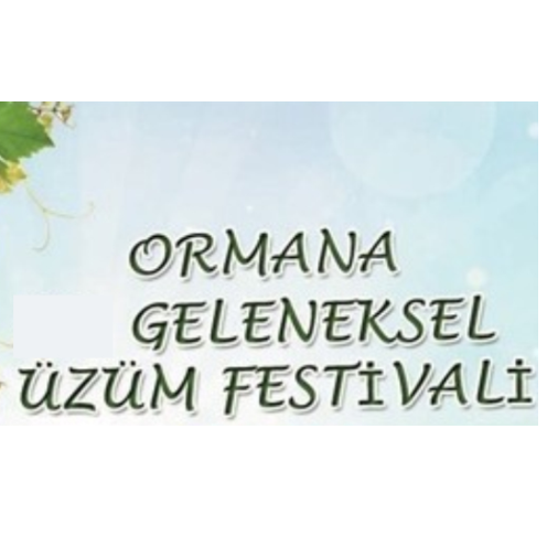 geleneksel-ibradi-ormana-uzum-festivali