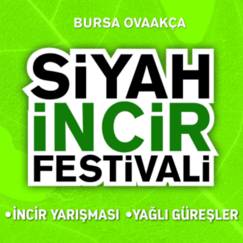 osmangazi-siyah-incir-festivali