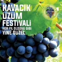 kavacik-uzum-festivali