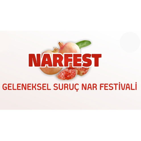 geleneksel-suruc-ati-ve-nari-festivali