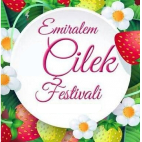 emiralem-cilek-festivali