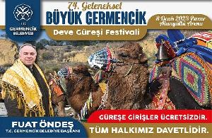 geleneksel-buyuk-germencik-deve-guresi-festivali