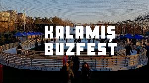 kalamis-buzzfest