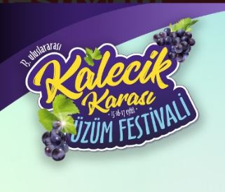 uluslararasi-kalecik-karasi-uzum-festivali