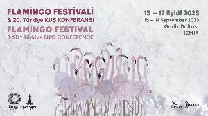 flamingo-festivali