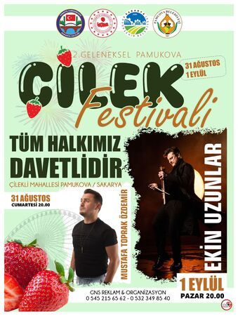 pamukova-cilek-festivali