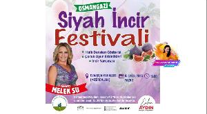 osmangazi-siyah-incir-festivali