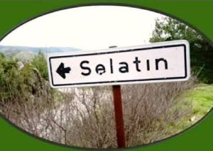 geleneksel-selatin-turu