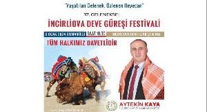 geleneksel-incirliova-deve-guresi-festivali