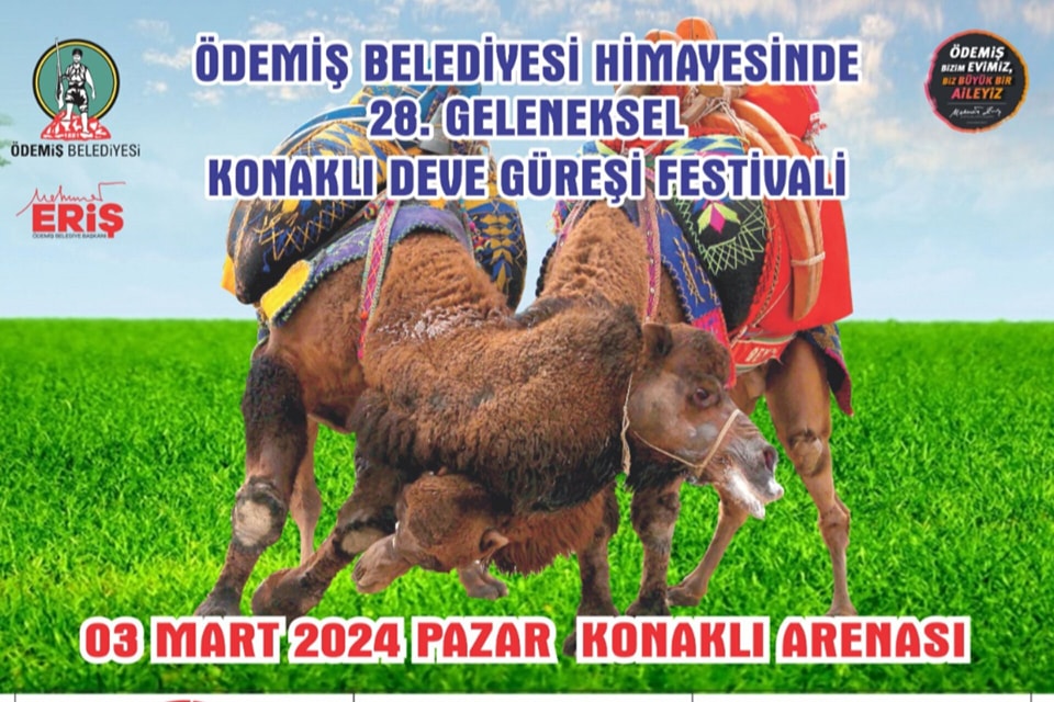 geleneksel-konakli-deve-guresi-festivali-3171