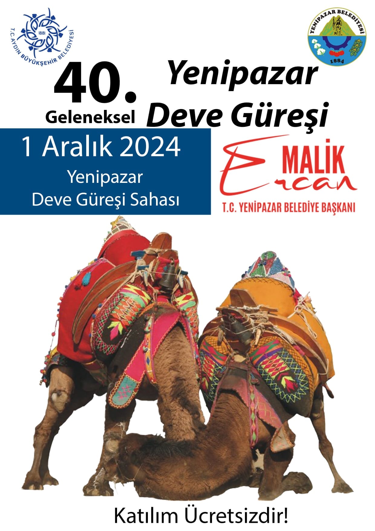 yenipazar-deve-guresi-festivali