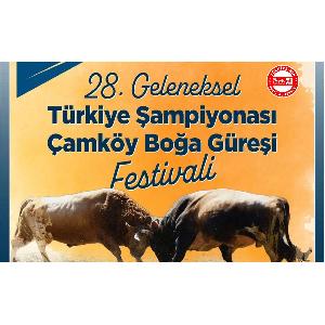 geleneksel-turkiye-sampiyonasi-camkoy-boga-guresi-festivali