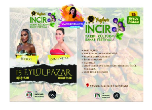 yaykin-incir-tarim-kultur-ve-sanat-festivali