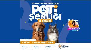 pati-senligi