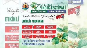 findik-festivali