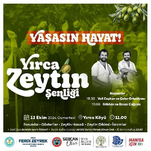 yirca-zeytin-senligi