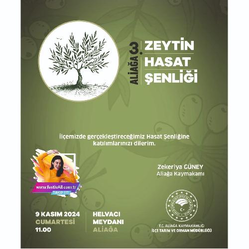 aliaga-zeytin-hasat-senligi