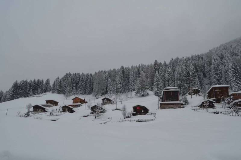 ayder-kardan-adam-senligi