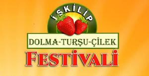 iskilip-dolma-tursu-ve-cilek-festivali
