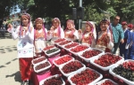 geleneksel-tekirdag-kiraz-festivali