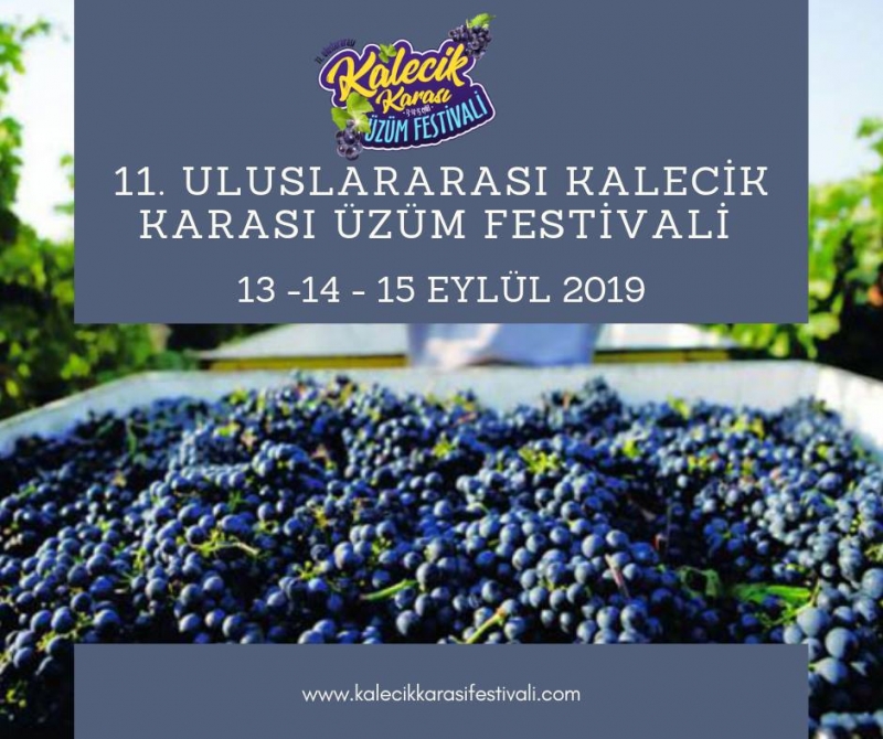 uluslararasi-kalecik-karasi-uzum-festivali