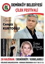 demirkoy-belediyesi-cilek-festivali