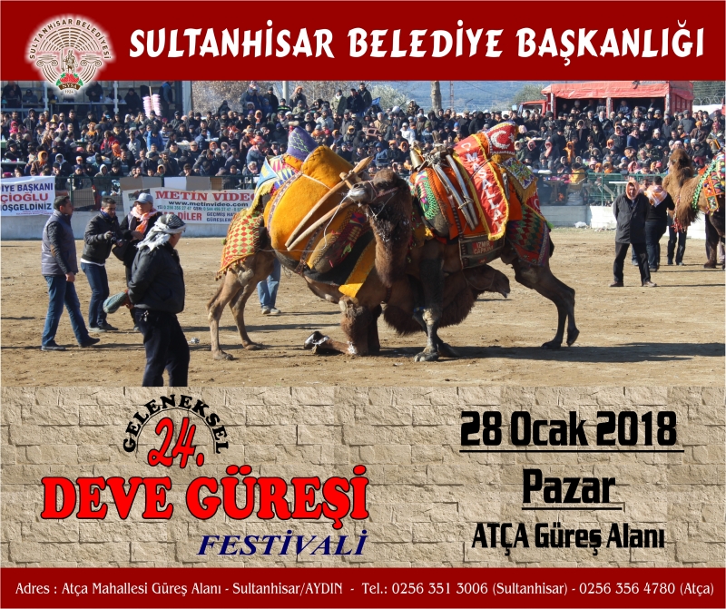 geleneksel-sultanhisar-deve-guresi-festivali