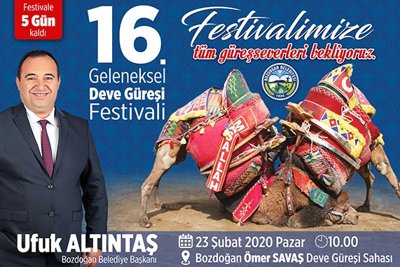 geleneksel-bozdogan-deve-guresi-festivali