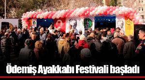 odemis-ayakkabi-festivali