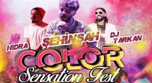 color-sensation-fest