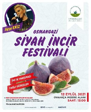 osmangazi-siyah-incir-festivali