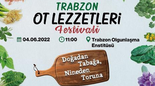 trabzon-ot-lezzetleri-festivali-2348
