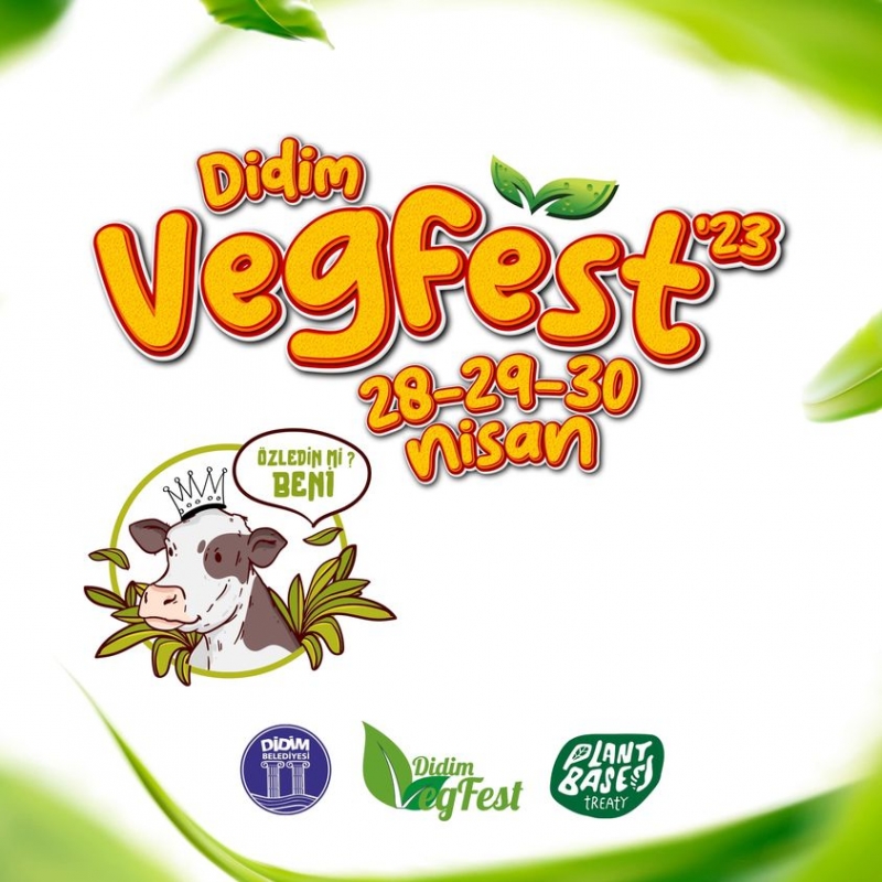 VegfestAydın festivalleri